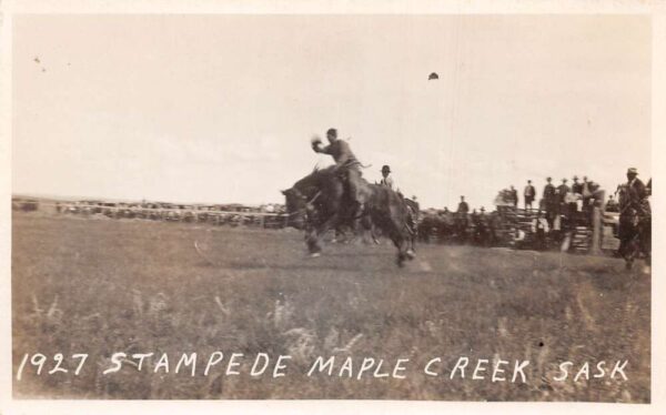 Maple Creek Saskatchewan Canada 1927 Stampede Rodeo Horse Real Photo PC AA94872