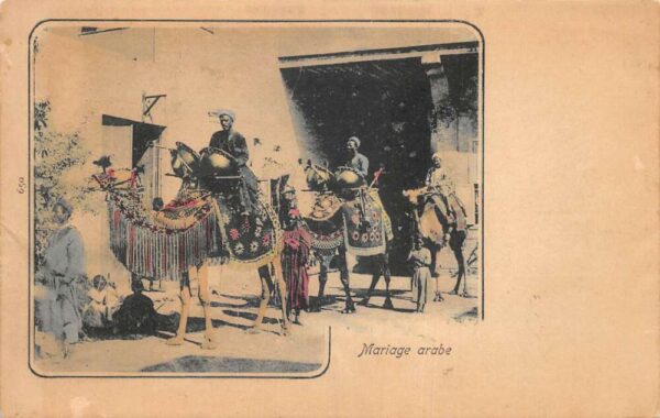 Egypt Arab Wedding Ceremony Riding Camels Marriage Vintage Postcard AA94937