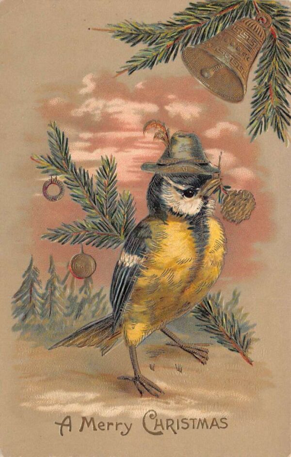 Christmas Greetings Blue Titmouse Bird wearing Hat Vintage Postcard AA94947