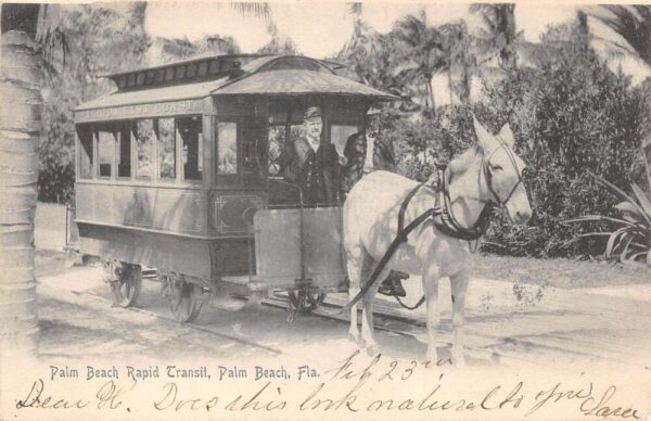 Palm Beach Florida Rapid Transit Horse Trolley Car Vintage Postcard AA94949