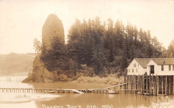 Rooster Rock Oregon Fishing Pier Scenic View Real Photo Postcard AA94983