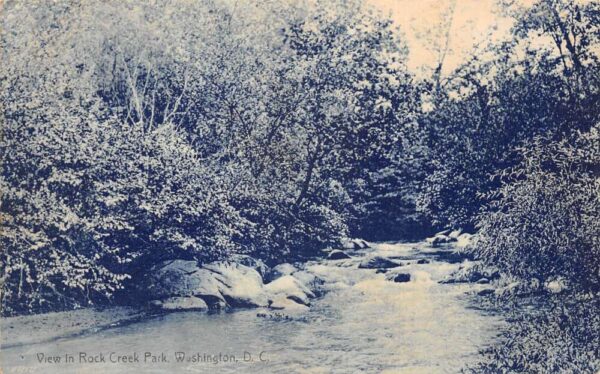 Washington DC Rock Creek Park Scenic View Vintage Postcard AA95509