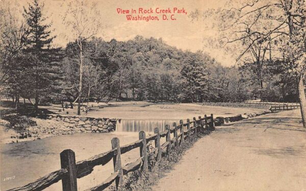 Washington DC Rock Creek Park Road and Scenic View Vintage Postcard AA95513