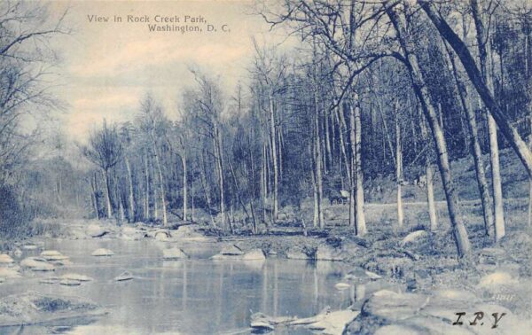 Washington DC Rock Creek Park Scenic View Vintage Postcard AA95518