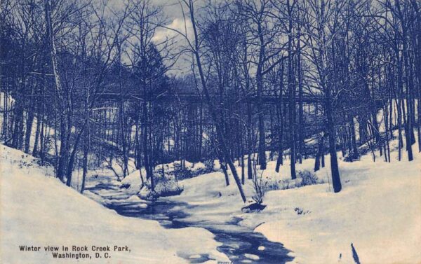 Washington DC Rock Creek Park Winter View Vintage Postcard AA95519