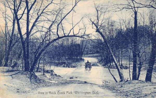 Washington DC Rock Creek Park Horse Carriage Vintage Postcard AA95526