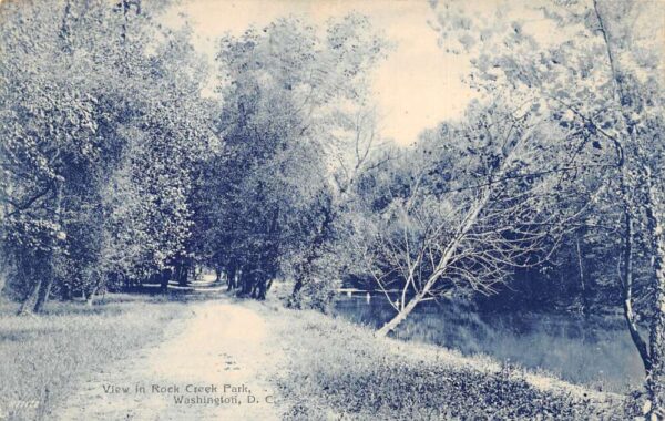 Washington DC Rock Creek Park Road Scenic View Vintage Postcard AA95527