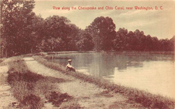 Washington DC Man Sitting by Chesapeake Ohio Canal Vintage Postcard AA95535