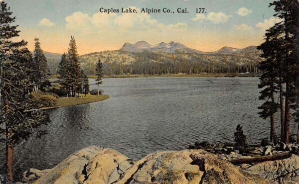 Alpine Co California Caples Lake Scenic View Vintage Postcard AA95747