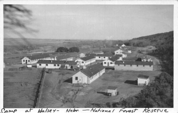 Halsey Nebraska National Forest Reserve Camp Real Photo Vintage Postcard AA95755