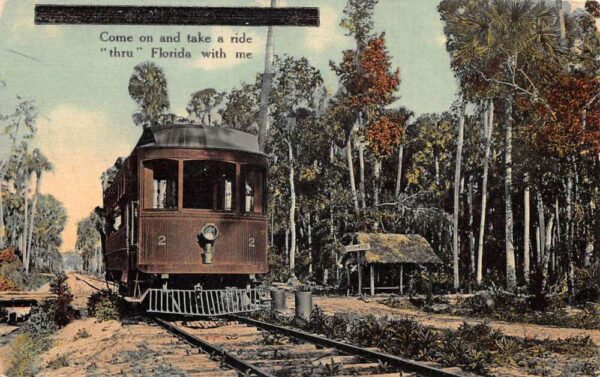 Greenwood Florida Trolley Car Vintage Postcard AA95872