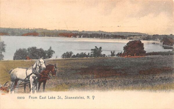 Skeneateles New York View from East Lake St Horses Postcard AA96004