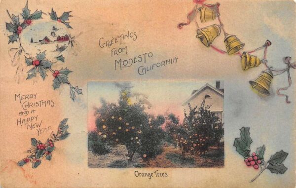 Modesto California Christmas Greetings Orange Trees Vintage Postcard AA96042