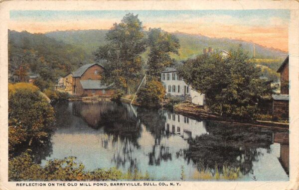 Barryville New York Old Mill Pond Scenic View Vintage Postcard AA96126