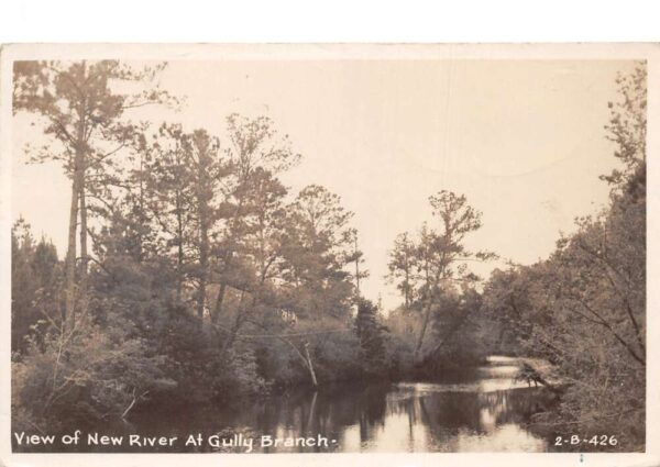 Gully Branch Florida New River Scenic View Real Photo Vintage Postcard AA96158