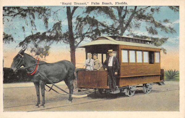 Palm Beach Florida Rapid Transit Mule Trolley Car Vintage Postcard AA96193