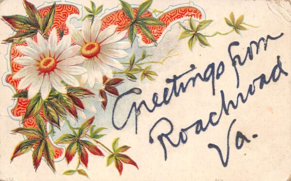 Roachroad Virginia Greetings Flowers Vintage Postcard AA96241