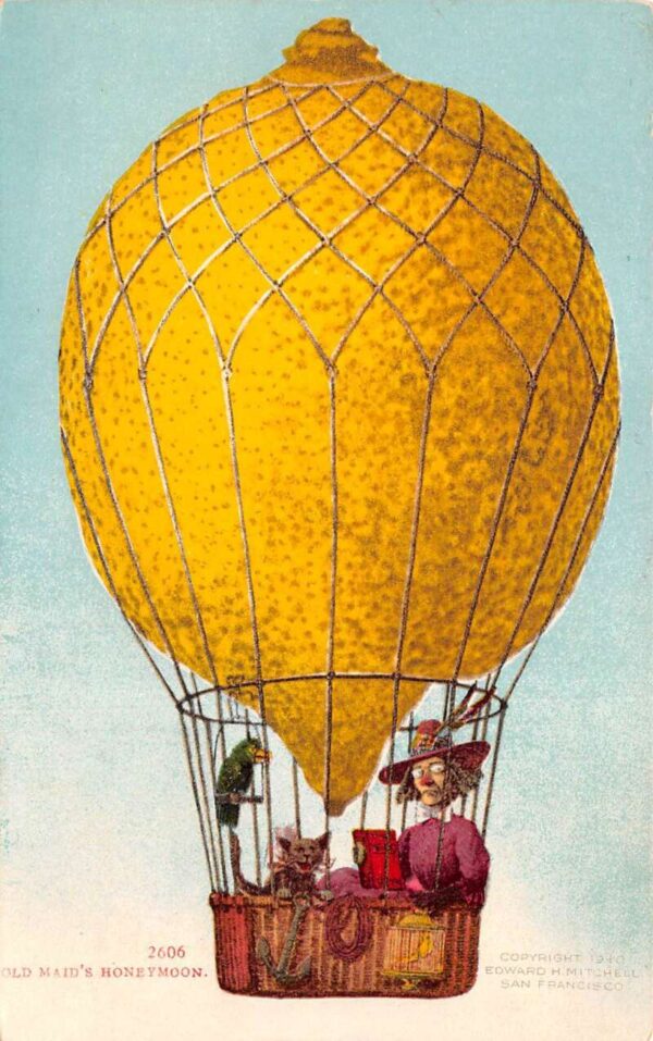 Old Maid's Honeymoon Lemon Hot Air Balloon Cat and Parrot Postcard AA96332