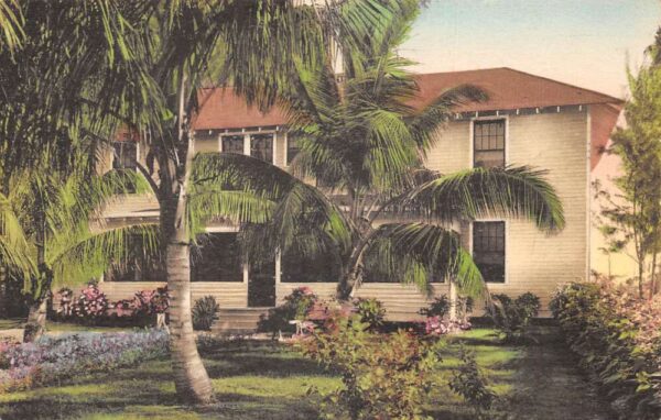 Naples Florida Naples Inn Garden View Hand Colored Postcard AA96337