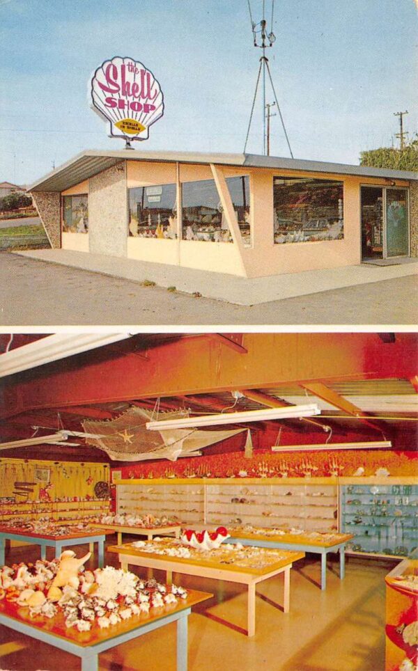 Morro Bay California The Shell Shop Seashells Vintage Postcard AA96389