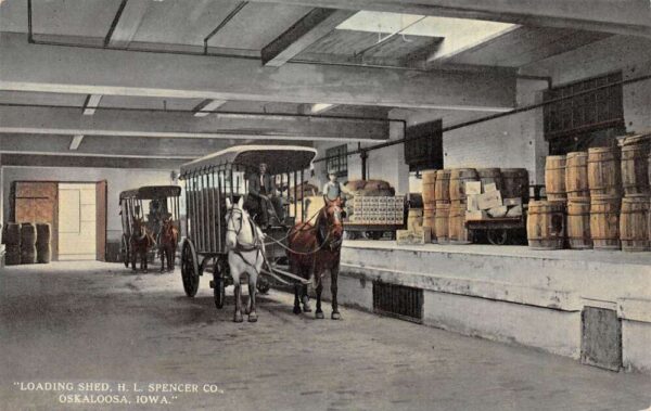 Oskaloosa Iowa HL Spencer Co Loading Shed Horse Carriage Postcard AA96542