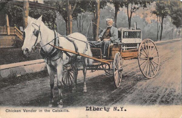 Liberty New York Catskill Mts Chicken Vendor Horse Carriage Postcard AA96547