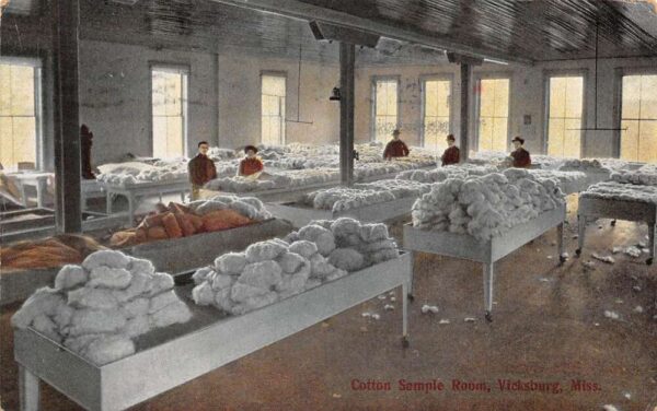 Vicksburg Mississippi Cotton Sample Room Vintage Postcard AA96555