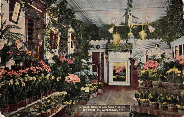 Watertown New York Bennett and Sons Florist Shop Interior Postcard AA96564