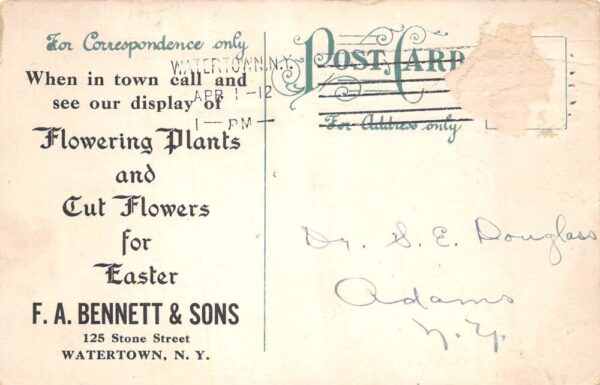 Watertown New York Bennett and Sons Florist Shop Interior Postcard AA96564 - Image 2