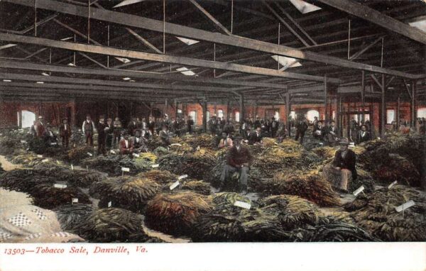 Danville Virginia Tobacco Sale Warehouse Vintage Postcard AA96601