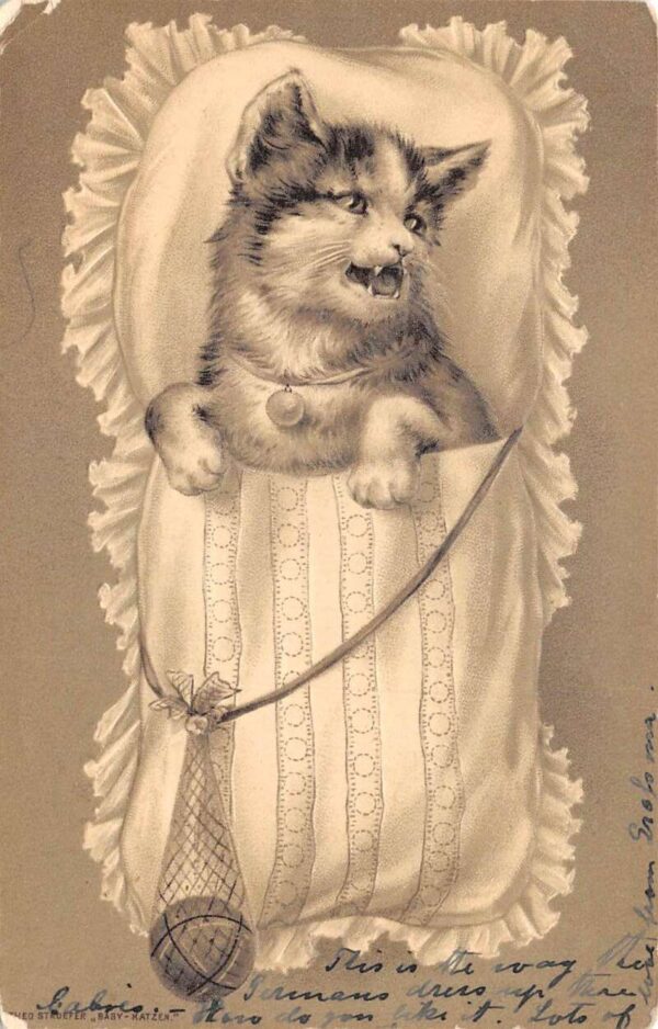 Cute Kitten in Childs Bed "Baby Katzen" Vintage Postcard AA92907