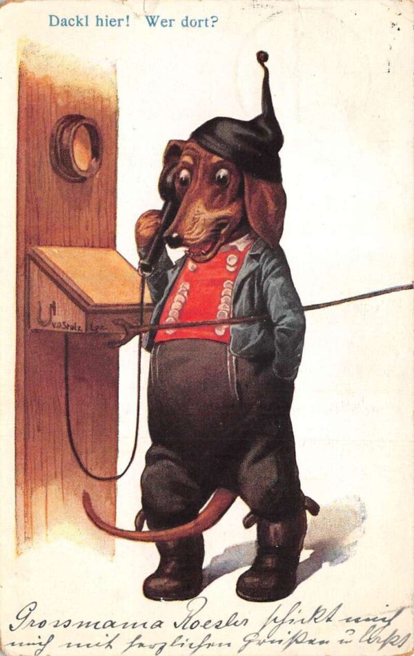 Dressed Dachshund Dog Using Telephone Vintage Postcard AA92919