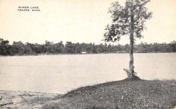 Frazee Minnesota Wimer Lake Scenic View Vintage Postcard AA92971