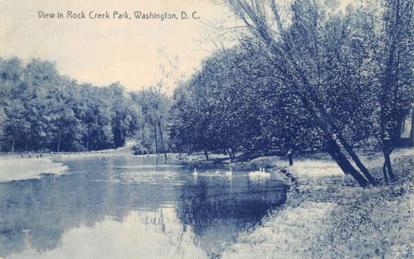 Washington DC Rock Creek Park Scenic View Swans Vintage Postcard AA93012