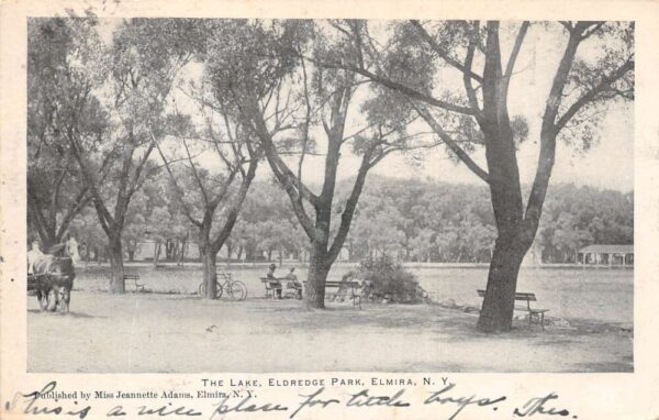 Elmira New York Eldredge Park The Lake Vintage Postcard AA93033