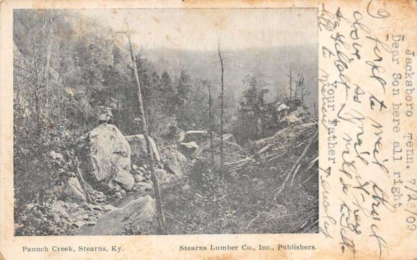 Stearns Kentucky Paunch Creek Scenic View Vintage Postcard AA93200