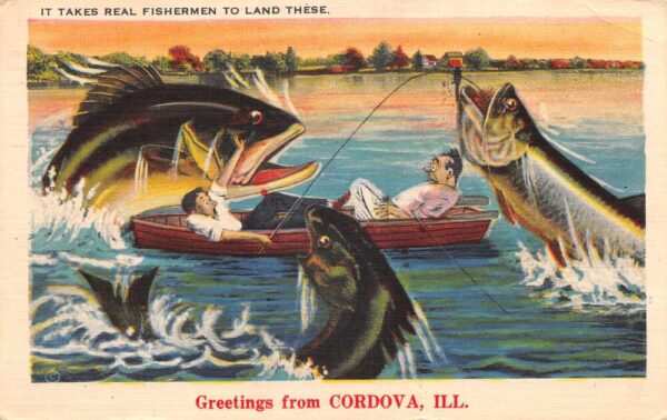 Cordova Illinois Greetings Fishing Exaggeration Vintage Postcard AA93274