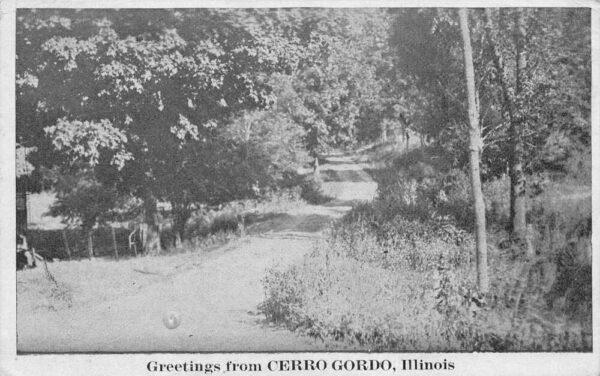 Cerro Gordo Illinois Greetings Roadway Scenic Vintage Postcard AA93275