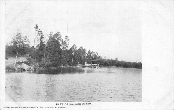 Walker Fleet Minnesota Water Front Scenic View Vintage Postcard AA93284