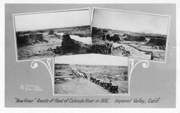 Imperial Valley California Flood of Colorado River 1906 Real Photo PC AA94046