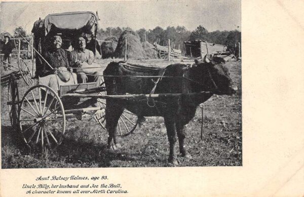 North Carolina Aunt Betsey Holmes Uncle Billy Joe the Bull Carriage PC AA94063