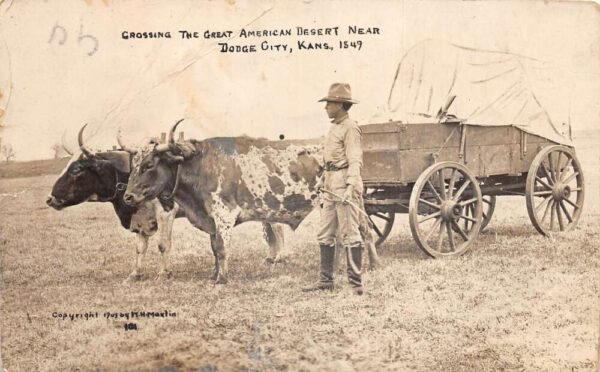 Dodge City Kansas Covered Wagon Bulls Real Photo Vintage Postcard AA94222