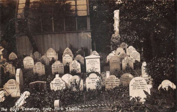 London England Hyde Park Dog Cemetery Real Photo Vintage Postcard AA94224