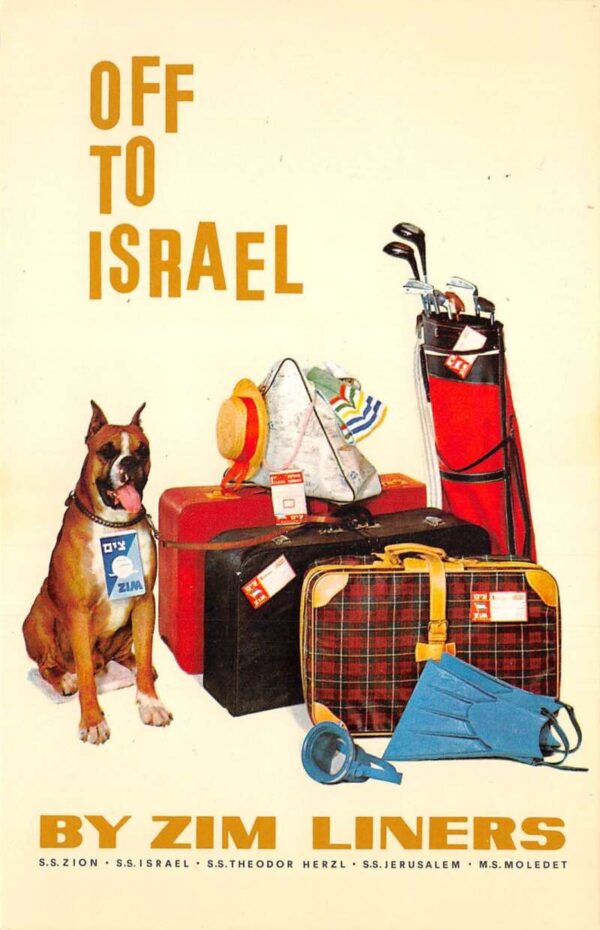 1960 Zim Israel Navigation Co Airline Ad Vintage Postcard AA94287