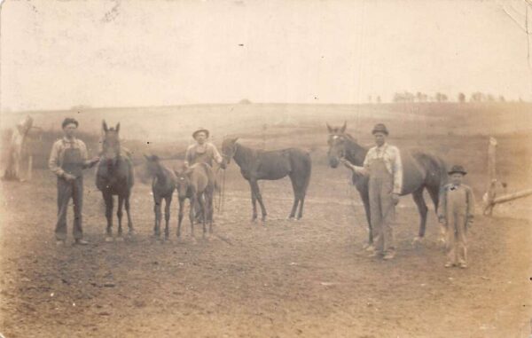 Wykoff Minnesota ? Farm Scene Men with Horses Real Photo Postcard AA94292