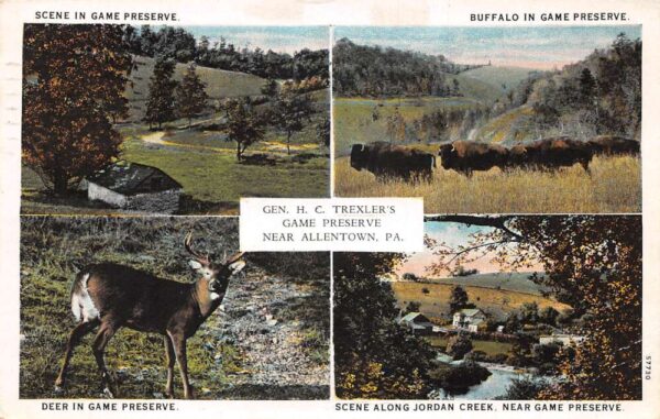 Allentown Pennsylvania Jordan Creek Game Preserve Multiview Postcard AA94346