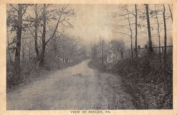 Bingen Pennsylvania Scenic View Road Vintage Postcard AA94352