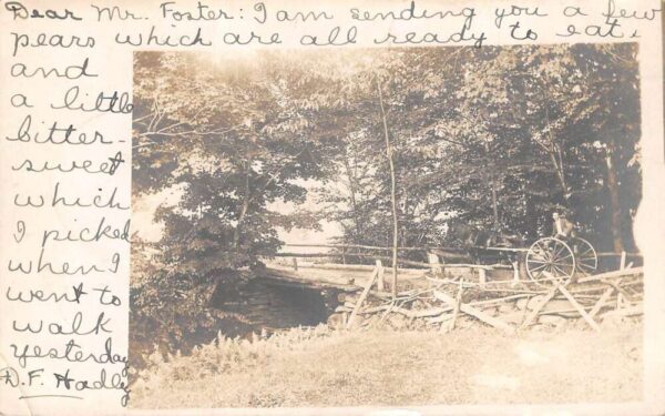 Shelburne Falls Massachusetts Man in Horse Buggy on Bridge Real Photo PC AA94387