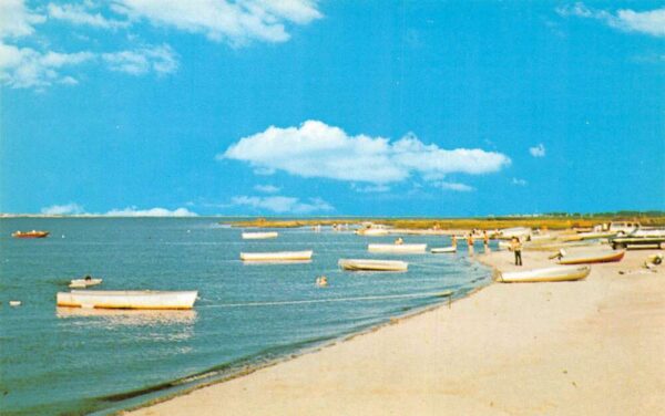 Dagsboro Delaware Tuckahoe Acres Beach Scene Boats Postcard AA94396