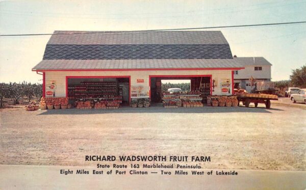 Marblehead Ohio Wadsworth Fruit Farm Vintage Postcard AA94424